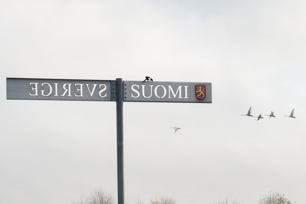 Ruotsin ja Suomen raja Torniossa.