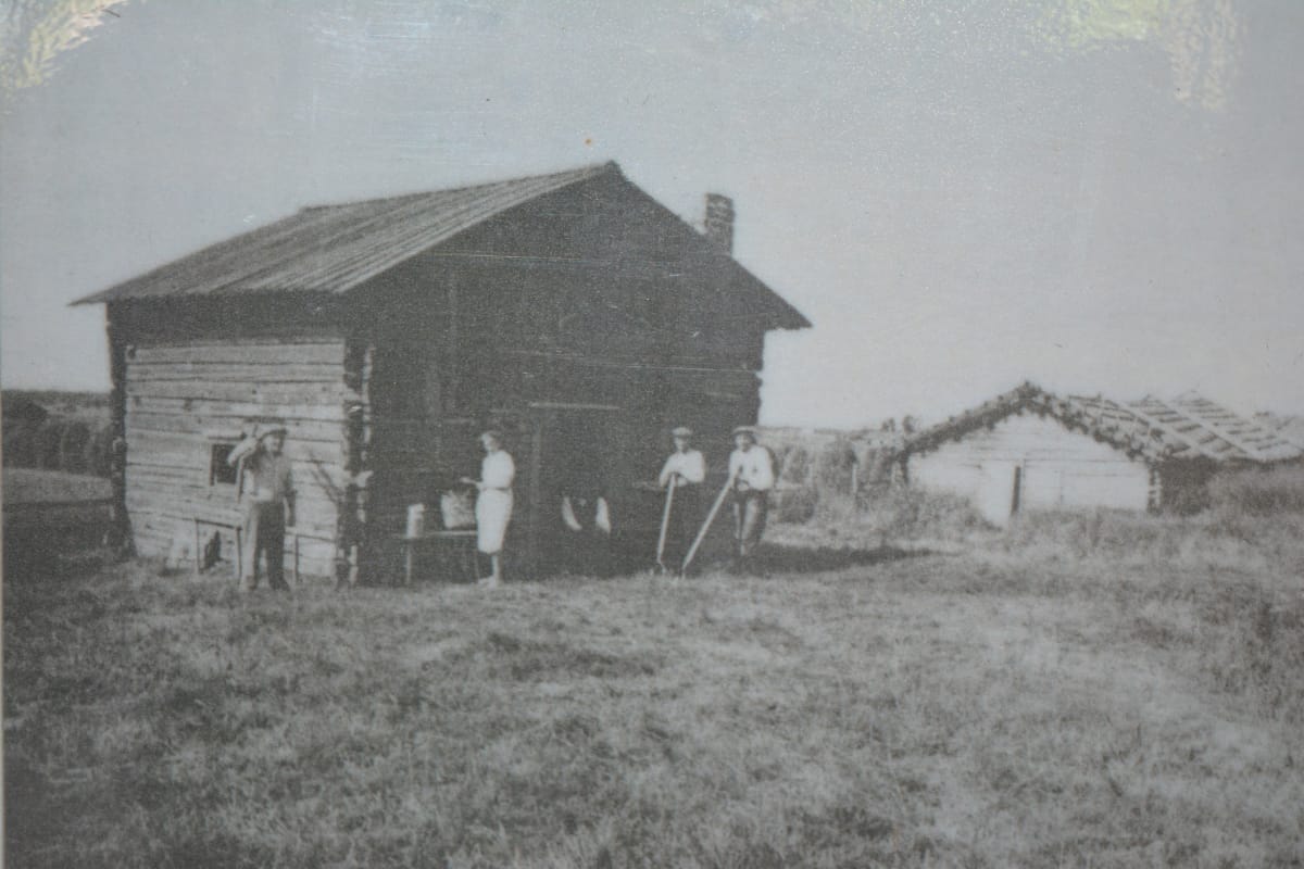 Yli-Lauroselan heinäväki Alajoki-saunan edustalla 1952. Kuva Jussin Jokisaunojen ulkorakennuksen seinällä.