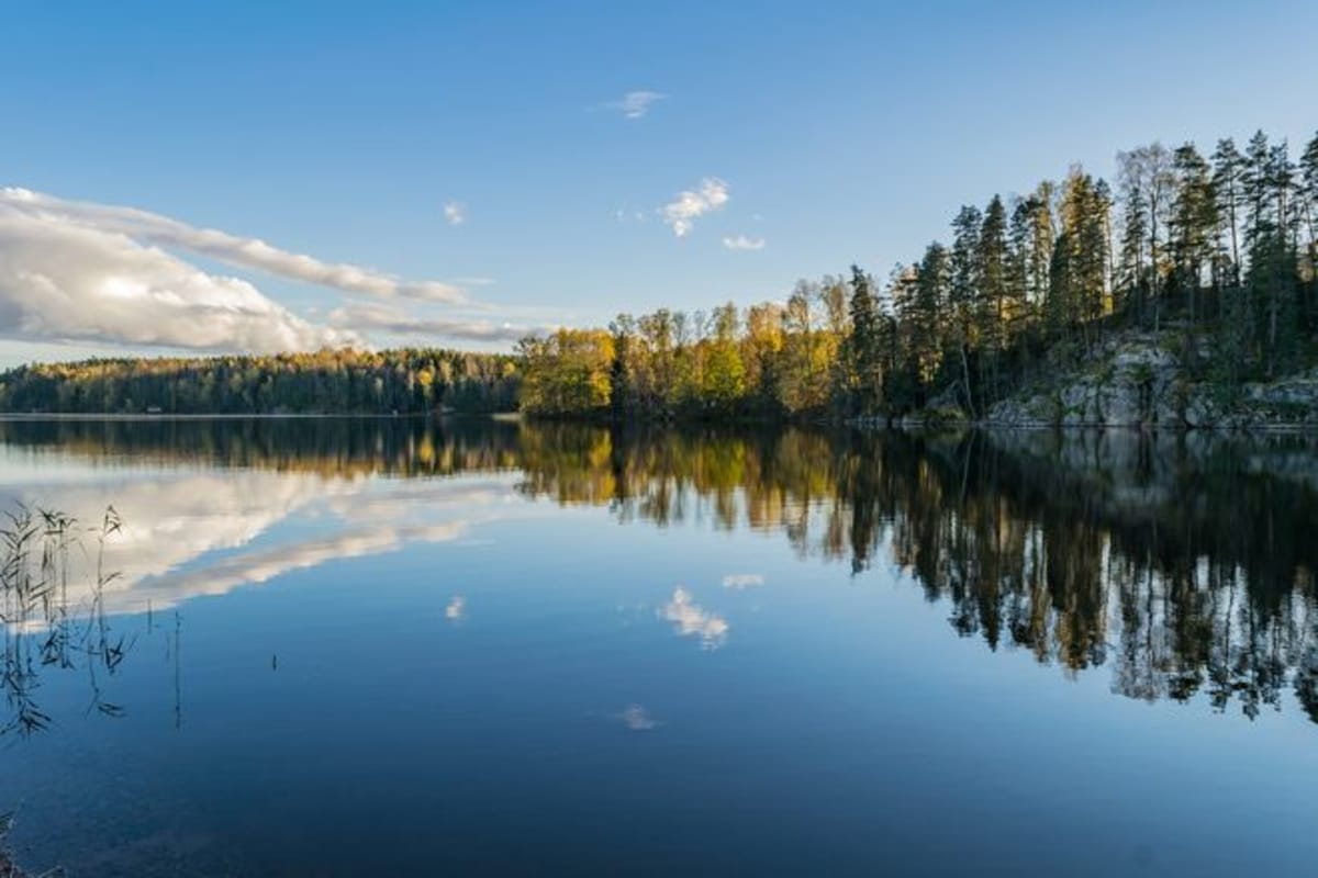 Nuuksion ruskaa