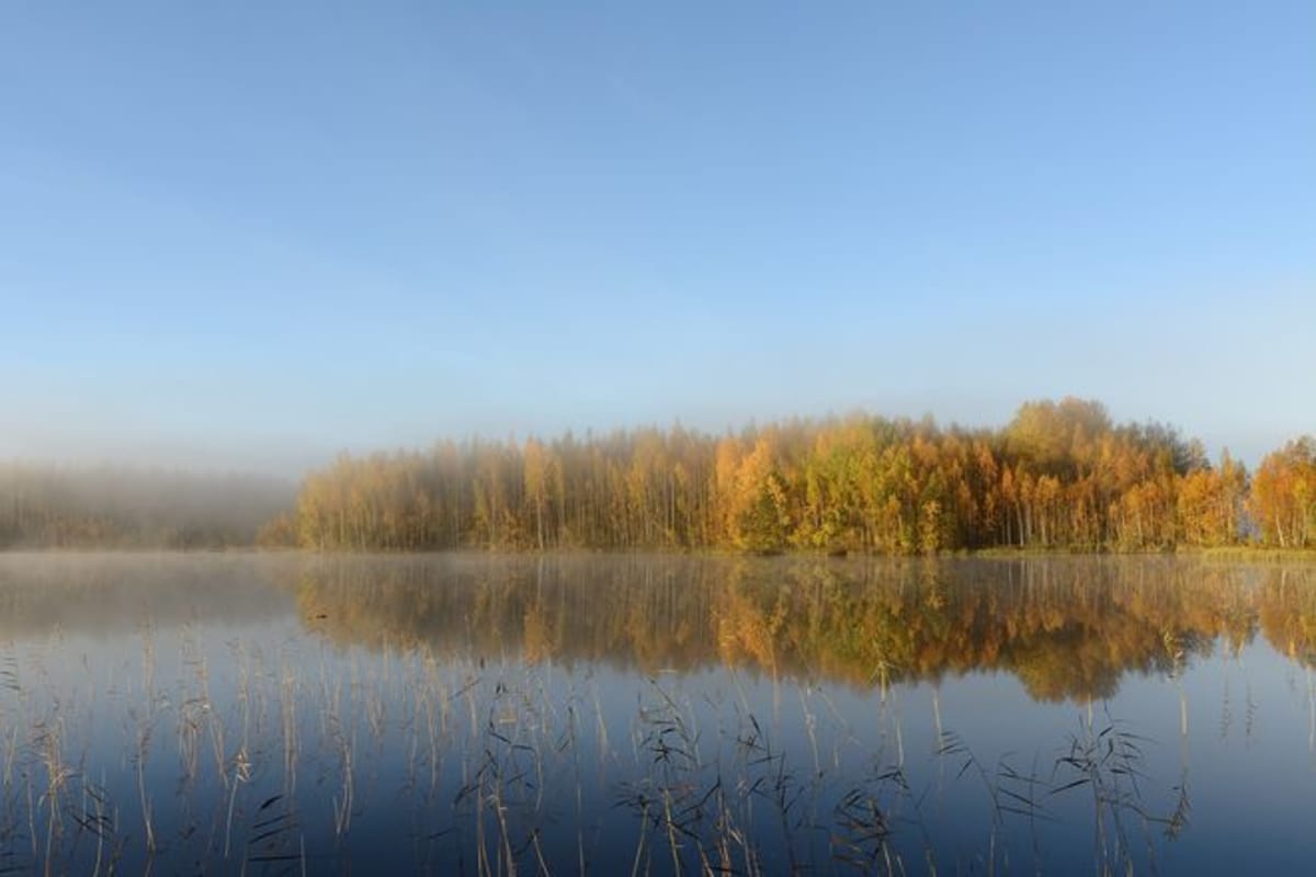 Syysaamu Ulvilan Joutsijärvellä