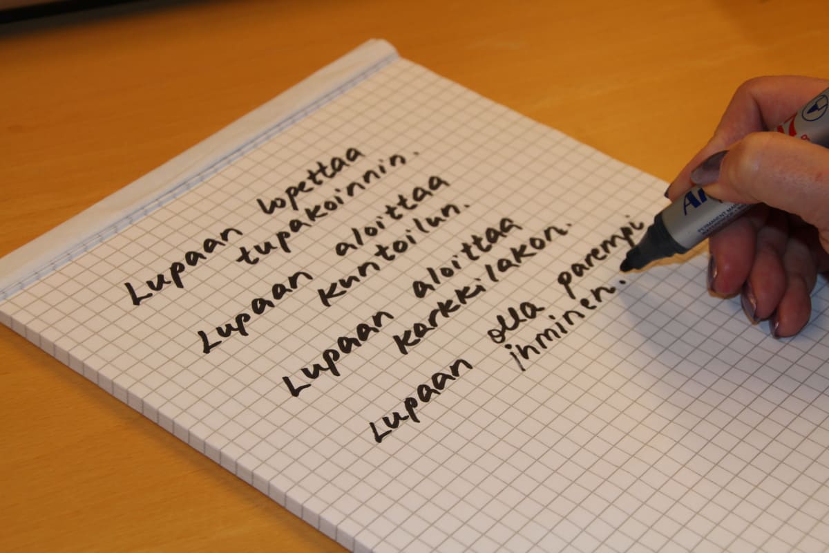 Uudenvuodenlupaus.