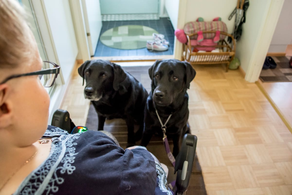 Anni Mannelin lähdössä koirien kanssa ulos
