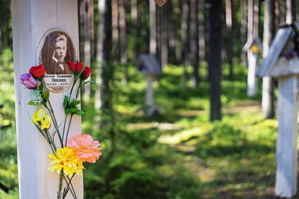 Murhattujen muistoristejä Krasnyi borin metsikössä.