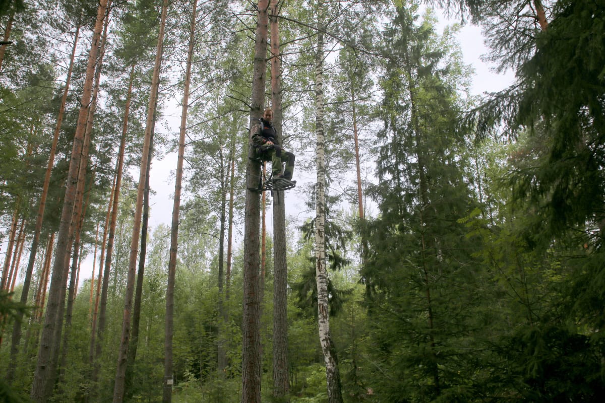Suomen jousimetsästäjäinliiton puheenjohtaja Antti Saarenmaa puupassi metsä jousiase taljajousi