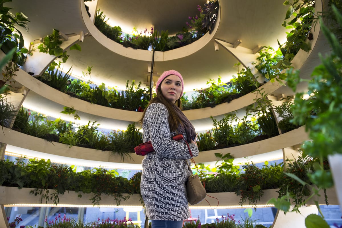 Maria Kozina The Growroom -installaatiossa.
