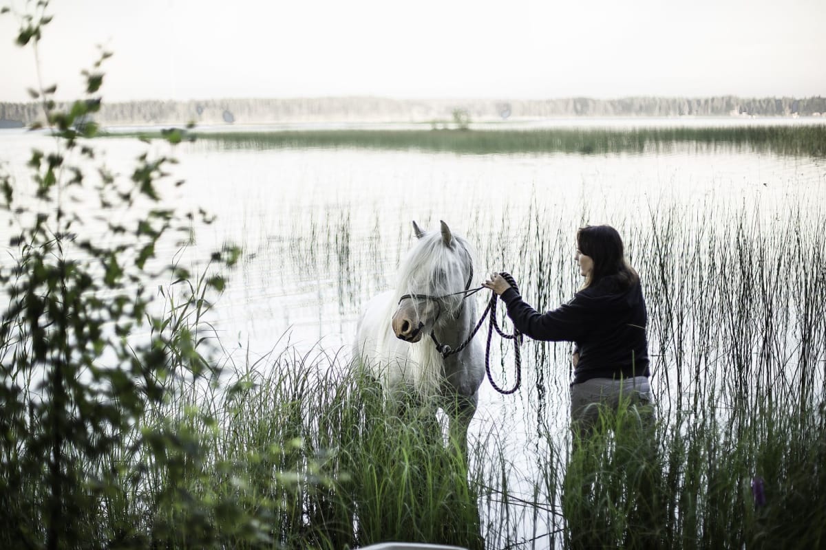 Hevonen ja Rita Peltola seisovat vedessä Pohjanhevosen kuvauksiin valmistauduttaessa opetellen kuljettavaa reittiä.