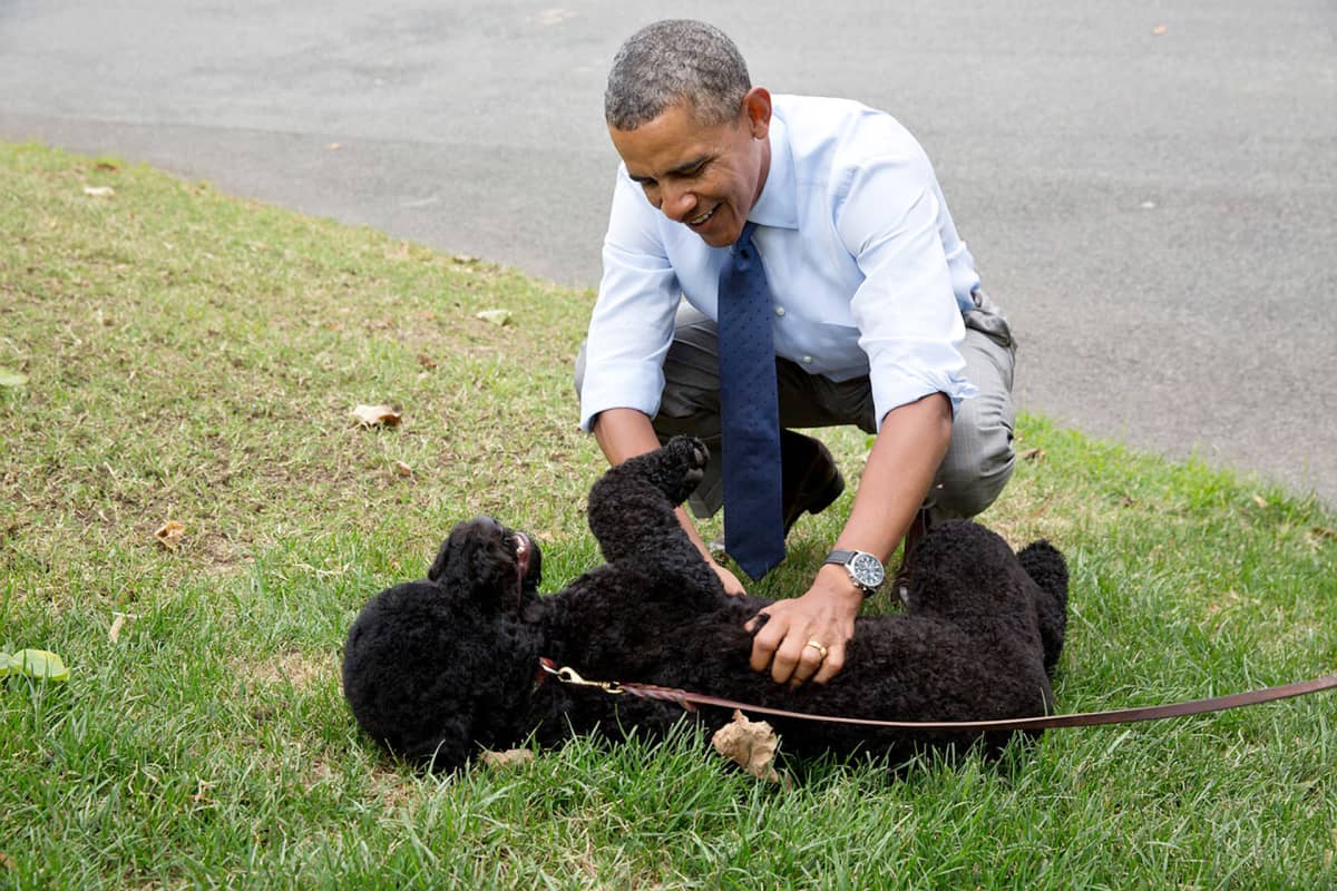 Barack Obama Sunny koiransa kanssa.