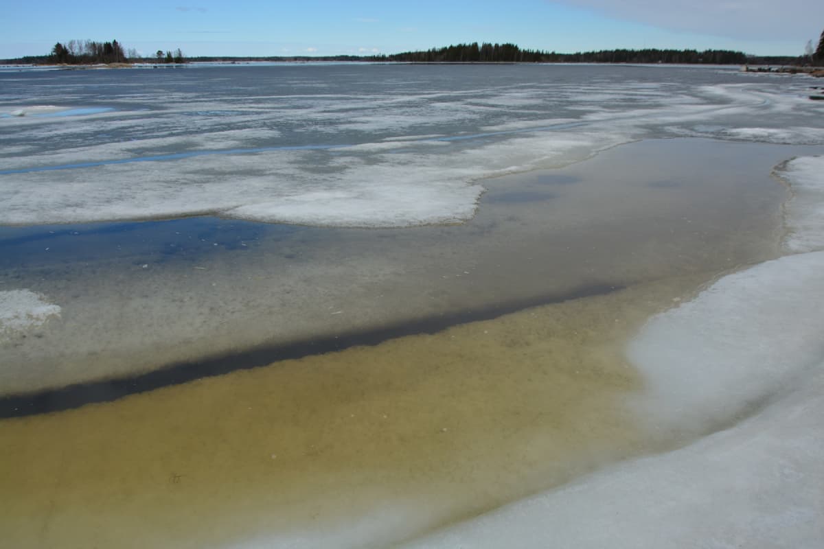 Tähän vuodenaikaan jäätilanteessa tapahtuvat muutokset ovat todella nopeita. Päivän parin kuluessa tämäkin näky muuttuu jo avovedeksi.