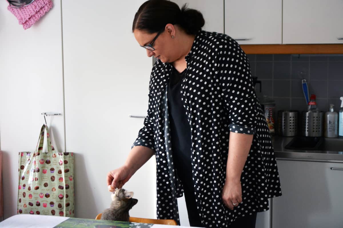 Katja Kaataja syöttä kissaa