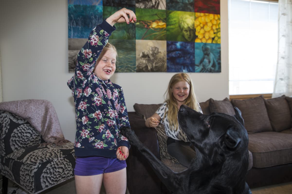 Adessa ja Eeden Iivanainen, kaupungin vuokra-asunnot