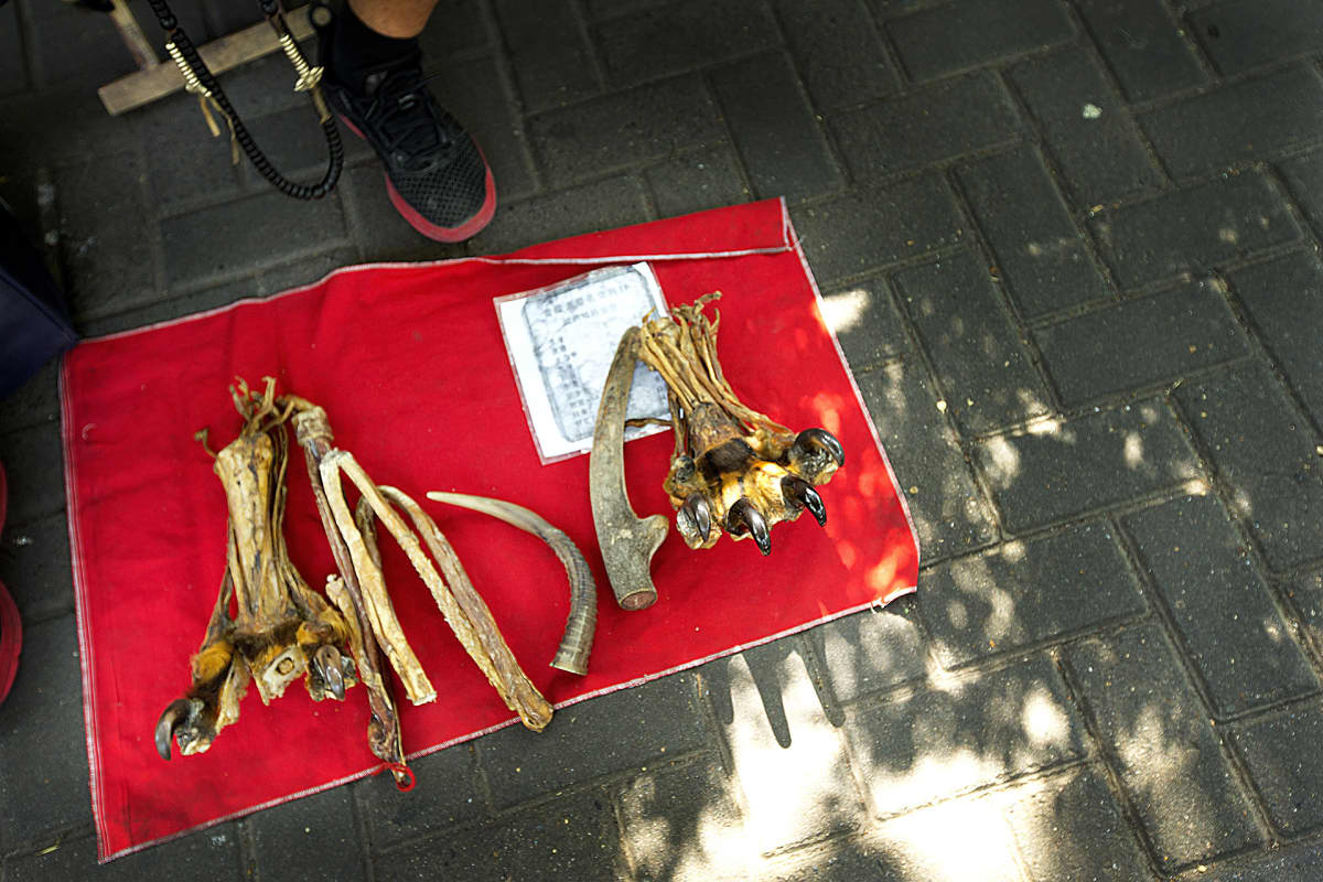 Kadulla myynnissä olevia tiikerin tasssuja ja sarvikuonon sarvia, Shanghaissa, Kiinassa vuonna 2013.