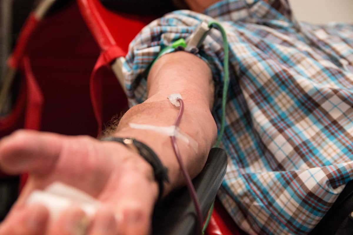 Jokaiselta luovuttajalta otetaan noin puoli litraa verta.