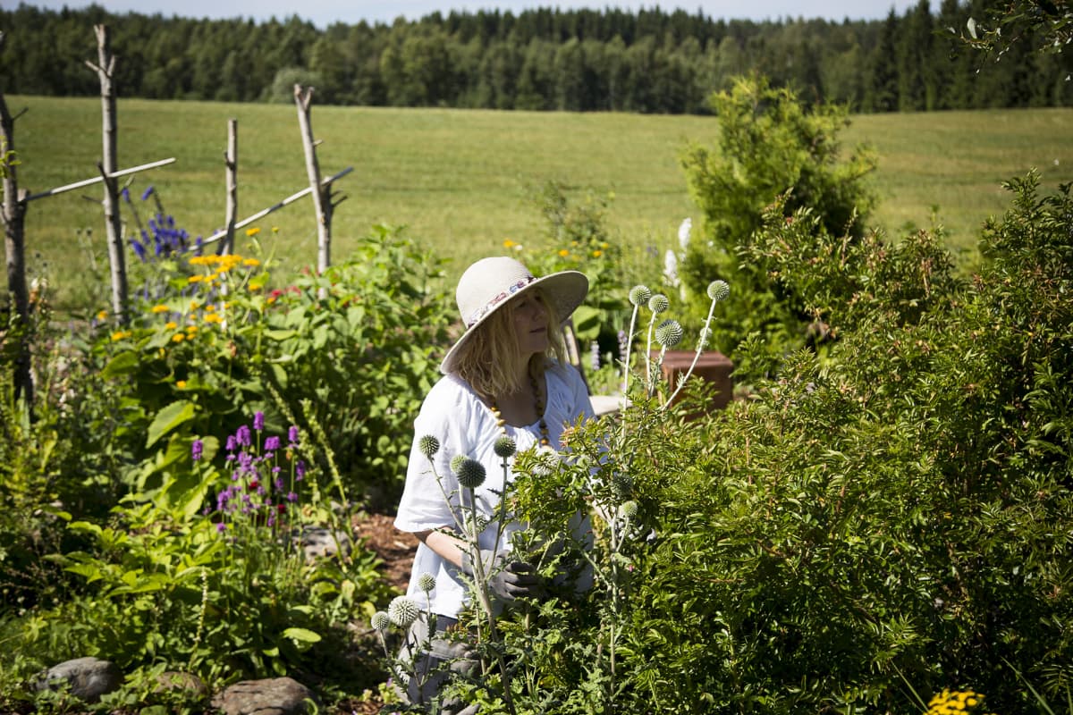 Mari Mörö