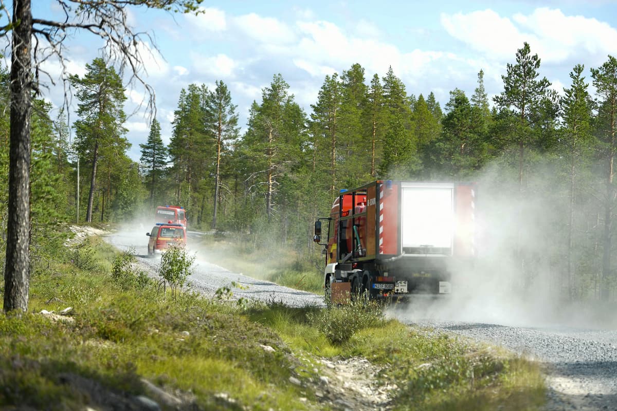 Paloautoja metsätiellä.