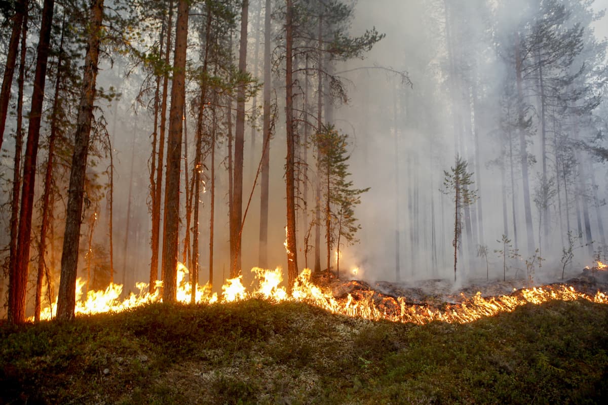 Ljusdalin lähistöllä oleva maastopalo