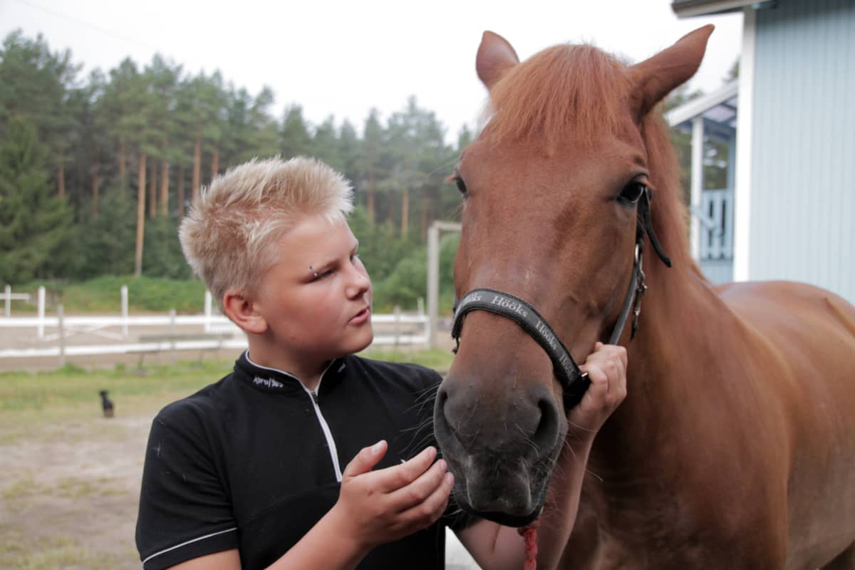 Arvi Martikainen silittää hevosta