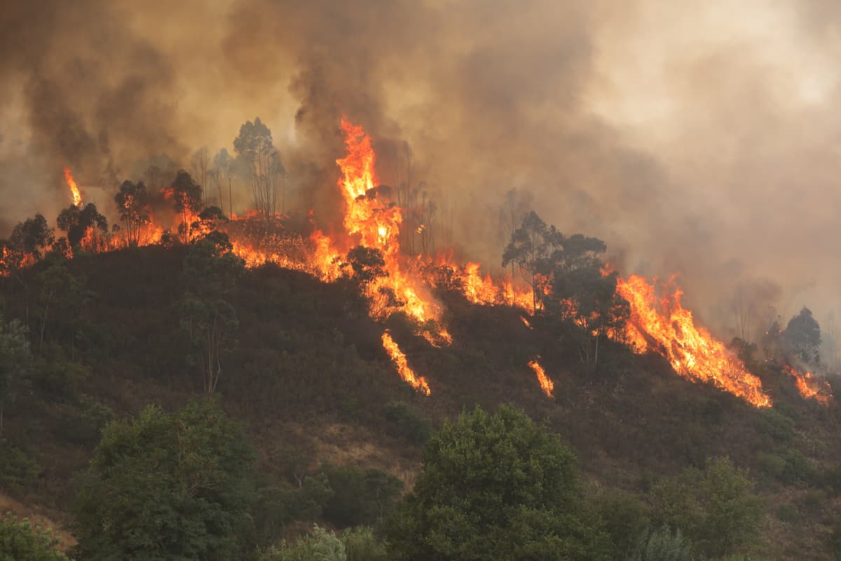 Metsäpalo raivoaa Rasmalhon alueella Monchiquessa, Portugalissa.