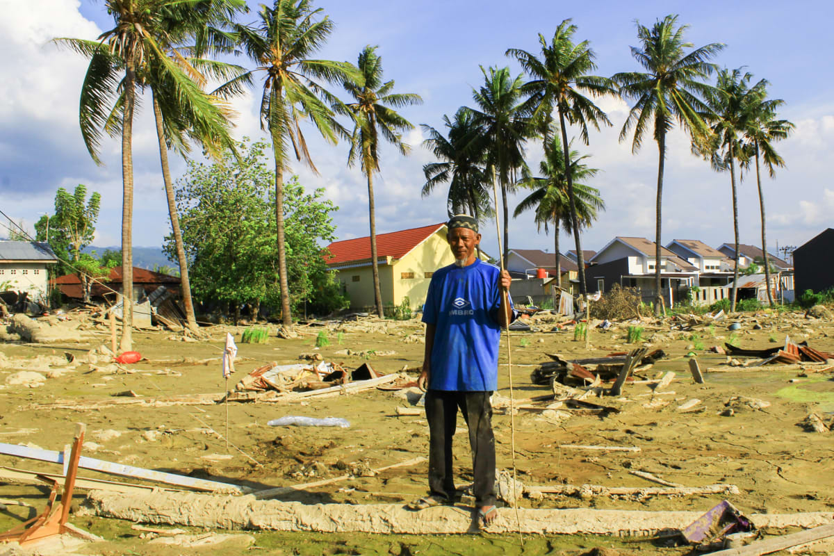 Avis Salim