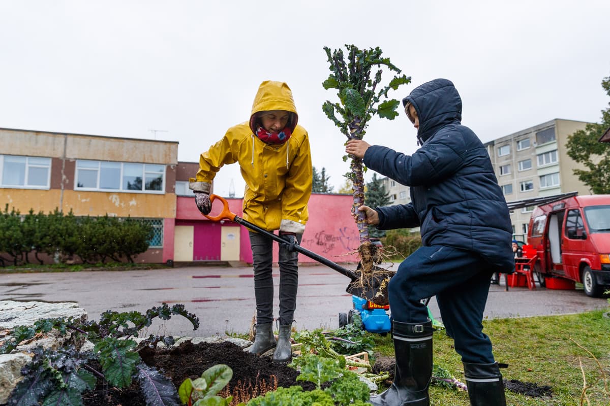 Liis Pihl (vas.) ja Liina Metsaots osallistuivat Lasnamäen kaupunkipuutarhan syystalkoisiin.
