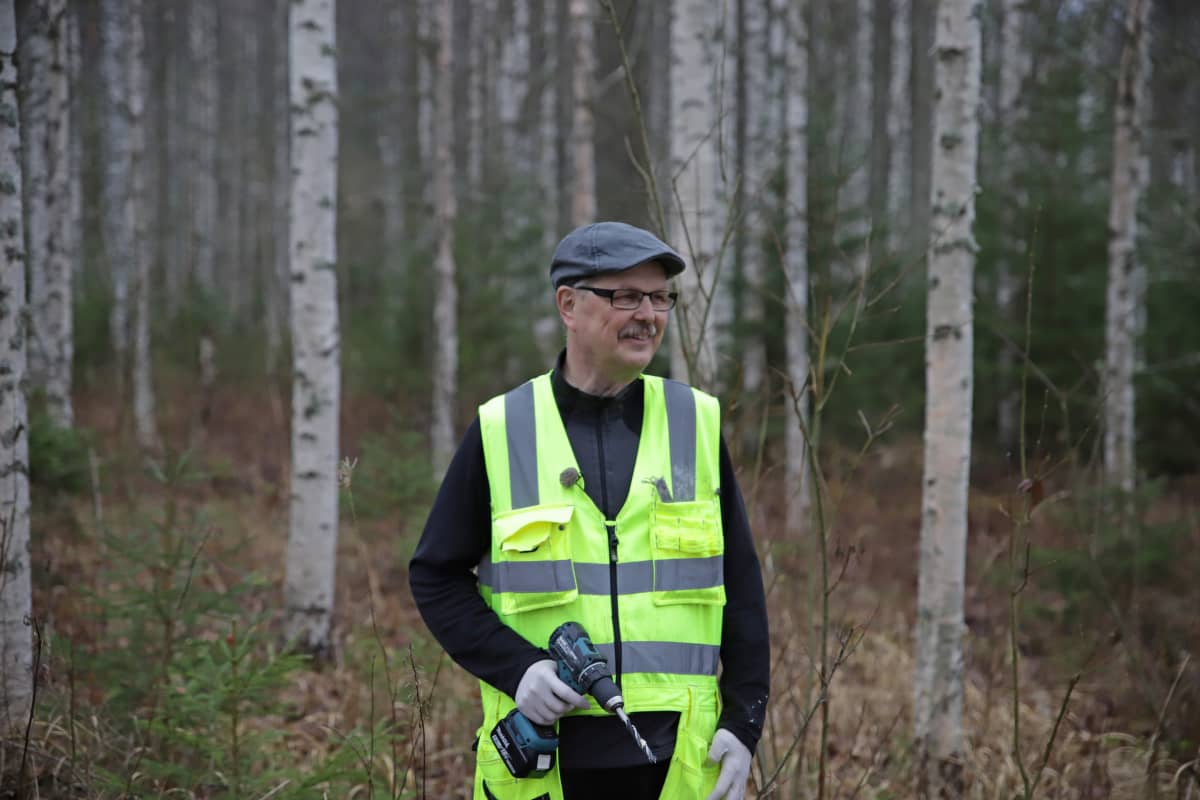 Pekka Kolari on istuttanut pakuri-ymppejä omaan metsäänsä Jämsänkoskella.