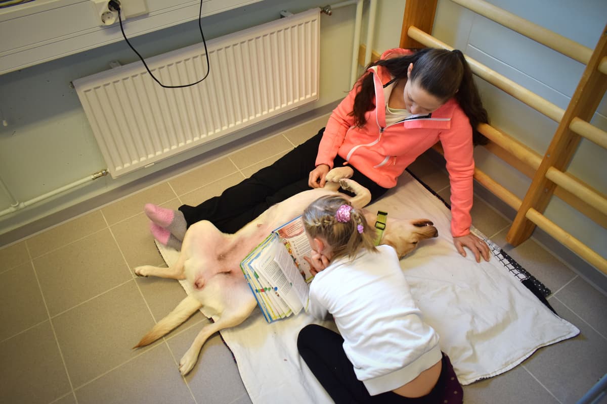 Tyttö harjoittelee lukemista Vinka-koiran kanssa.