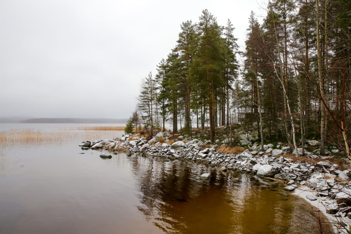 Niemenkärki.