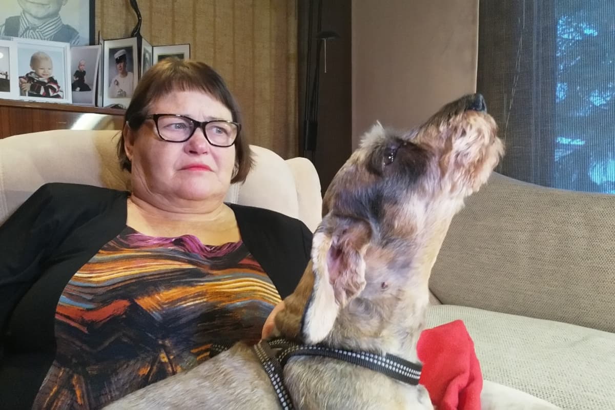Toivo-koira laulaa virttä emäntänsä eijan sylissä.