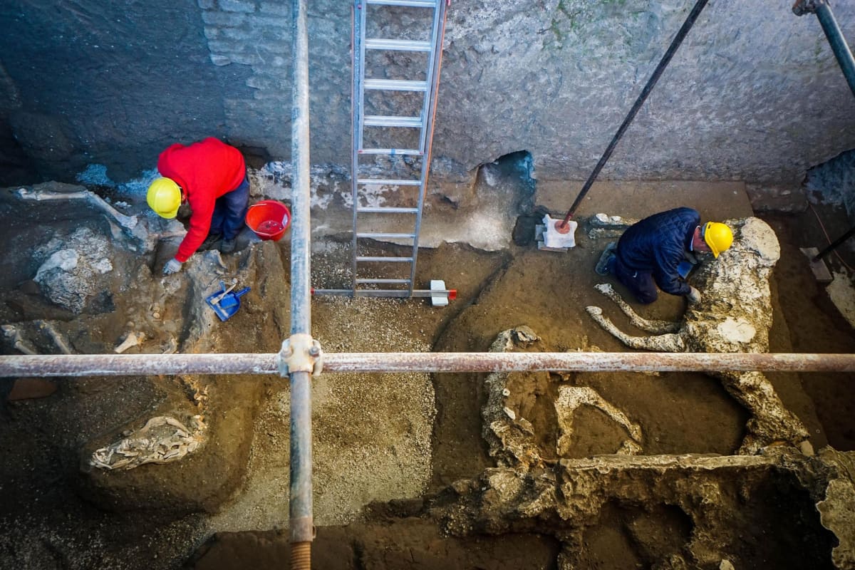 Muinaisen Pompeijin alueelta kaivetusta talllista on löydetty useiden hevosten jäänteitä.