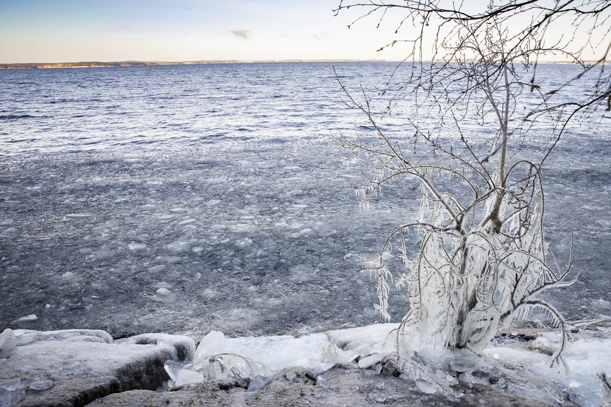 Jäätynyttä luontoa Näsijärven rannalla
