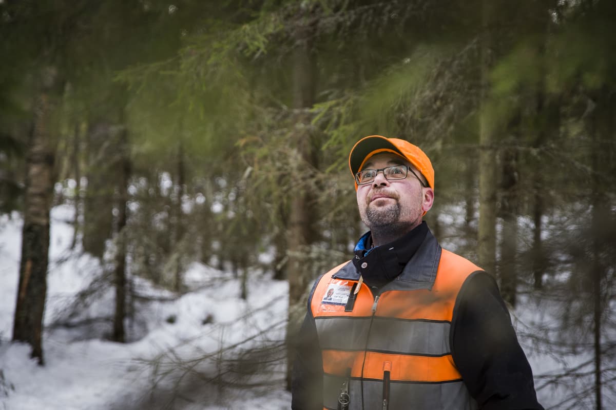 Ahti Räinä metsässä.
