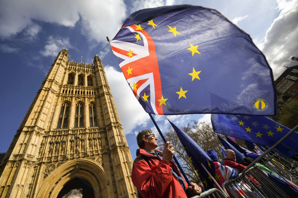 Brexit mielenosoittajia