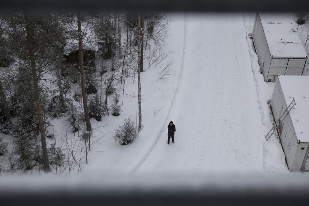 Markku Kulmala, Hyytiälä, metsäasema, ilmastonmuutos