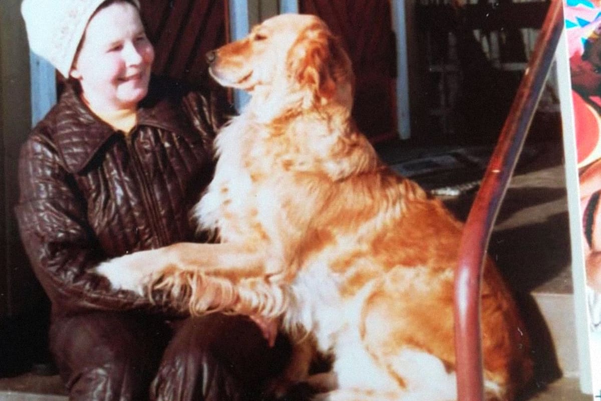 vanhempi nainen ja kultainen noutaja vuoden 1980 kuvassa