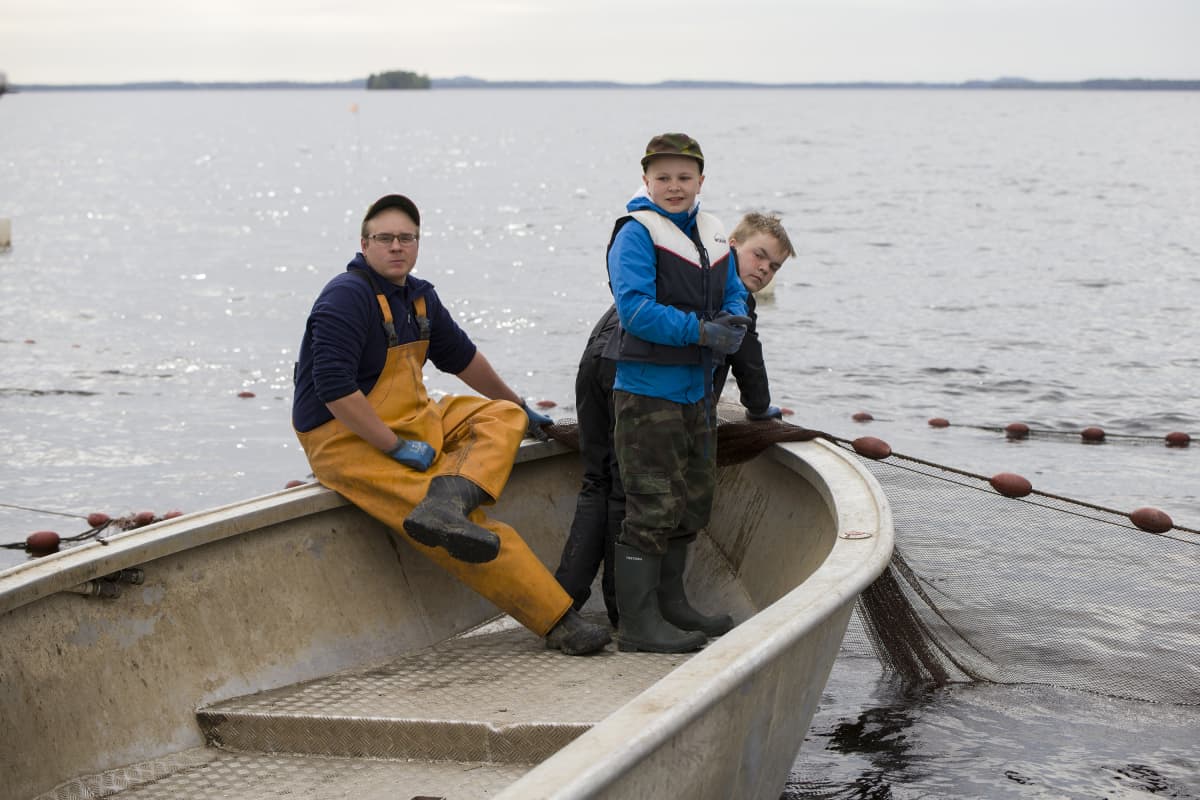 Keiteleen uisteluleiriläiset Kaius Helaste ja Juho Toivonen muikkurysällä kalastaja Toni Sisson kanssa.