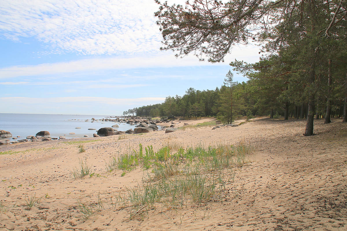 Kaunissaari, itäinen Suomenlahti
