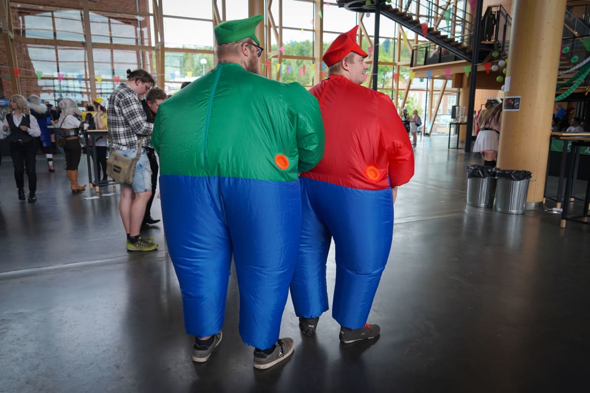 Luigi, Super Mario, Nintendo, Desucon, cosplay