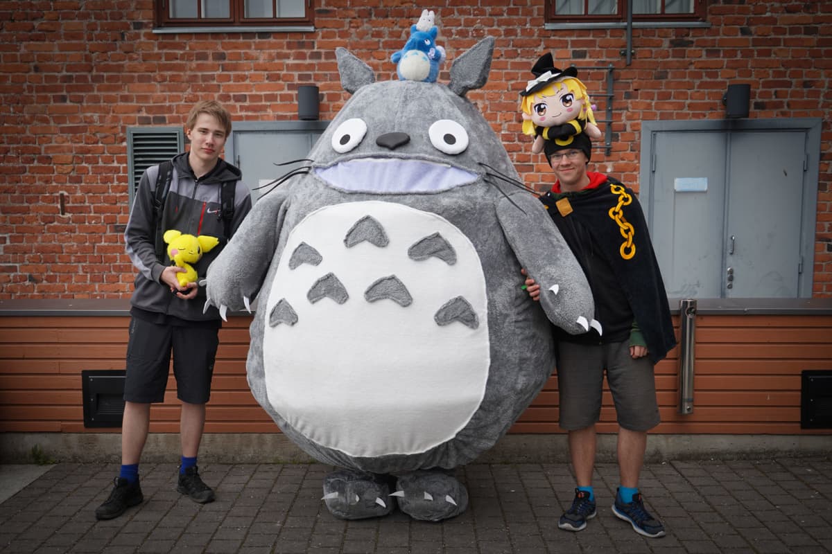 Totoro, Desucon, cosplay