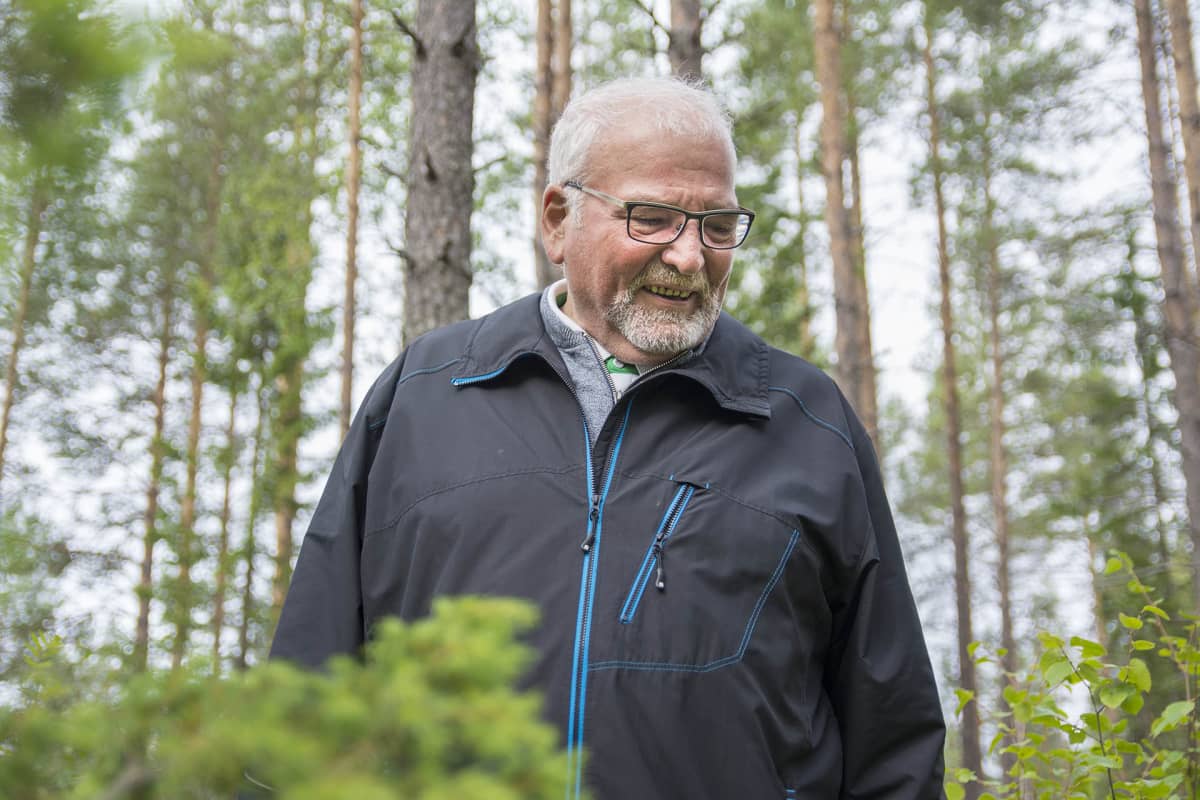 Harmaahiukisinen ja -partainen mies mäntymetsässä
