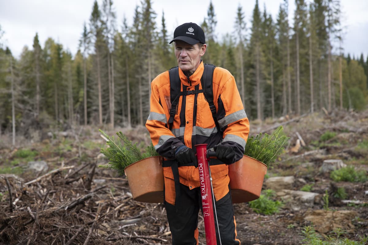 Vaaraslahden petoyhdyshenkilö Esa Lappi