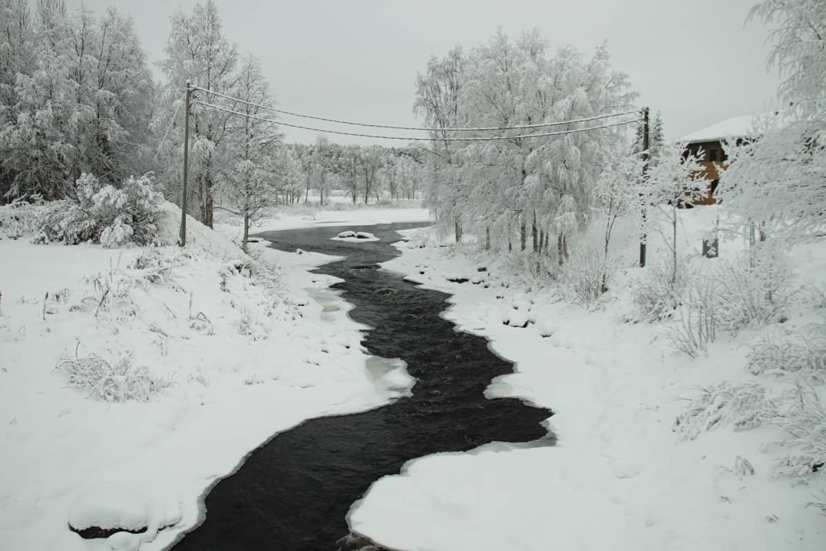 Jerisjoki näyttää pikkulirulta, kun puhutaan surffauksesta.