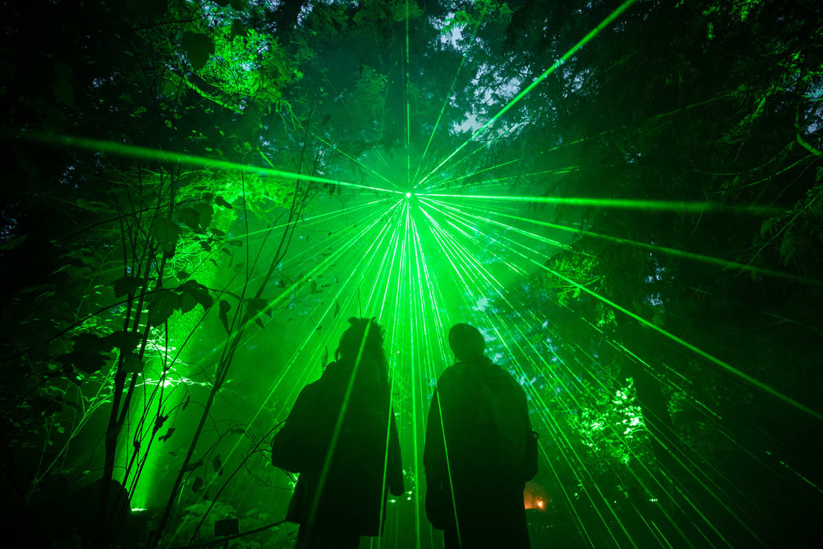 Berliinin kasvitieteellinen puutarha valaistuna laservaloin 21. marraskuuta.