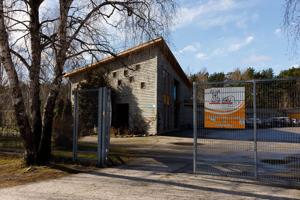 Koirien turvakoti Virossa.
