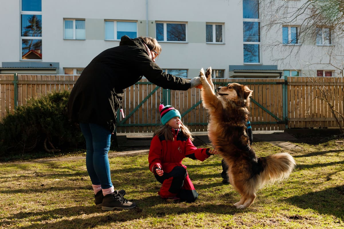 Koirien turvakoti Virossa.