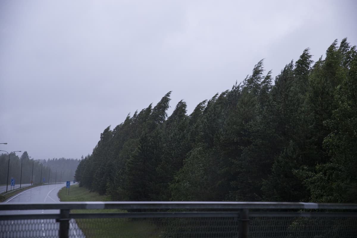 Päivö-myrsky kaataa puita Itä-Suomen alueella.