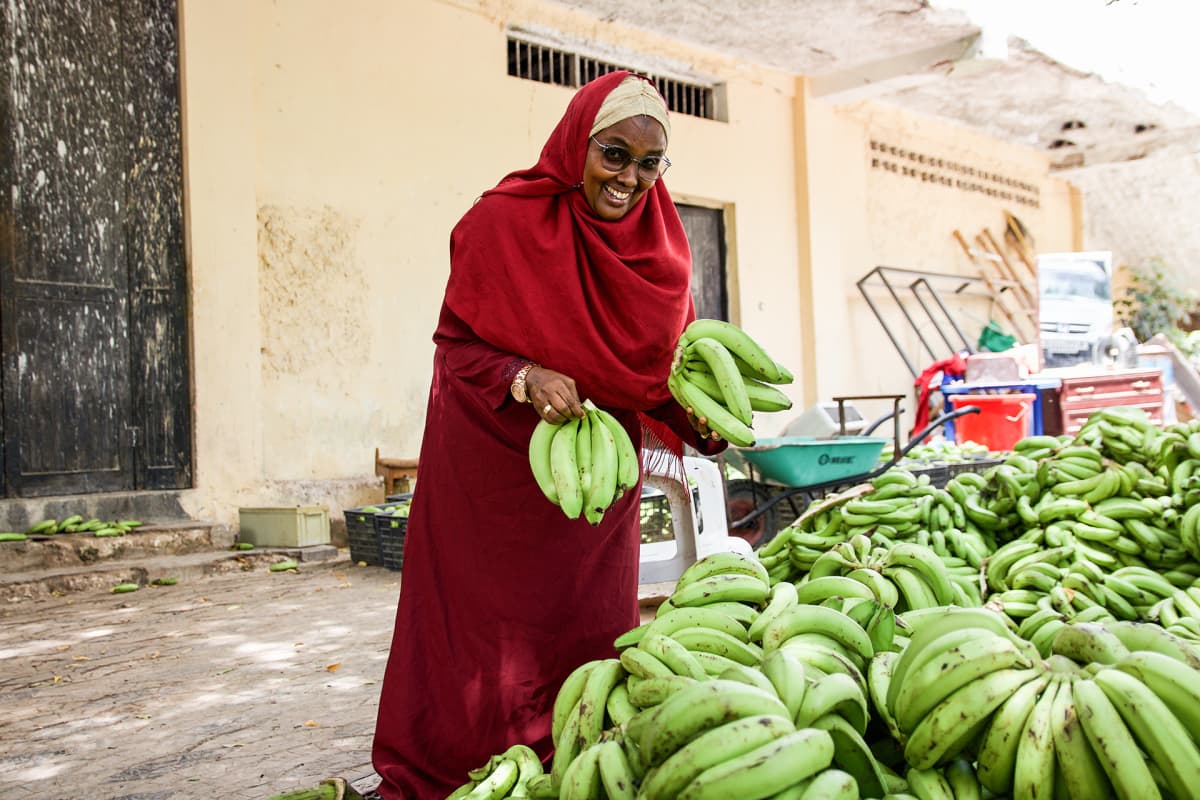 Hersia Abdulle Siyat on Turkin ansiosta pystynyt kasvattamaan banaanibisnestään huomattavasti. Turkkilaiset pitävät somalialaisista makeista banaaneista.