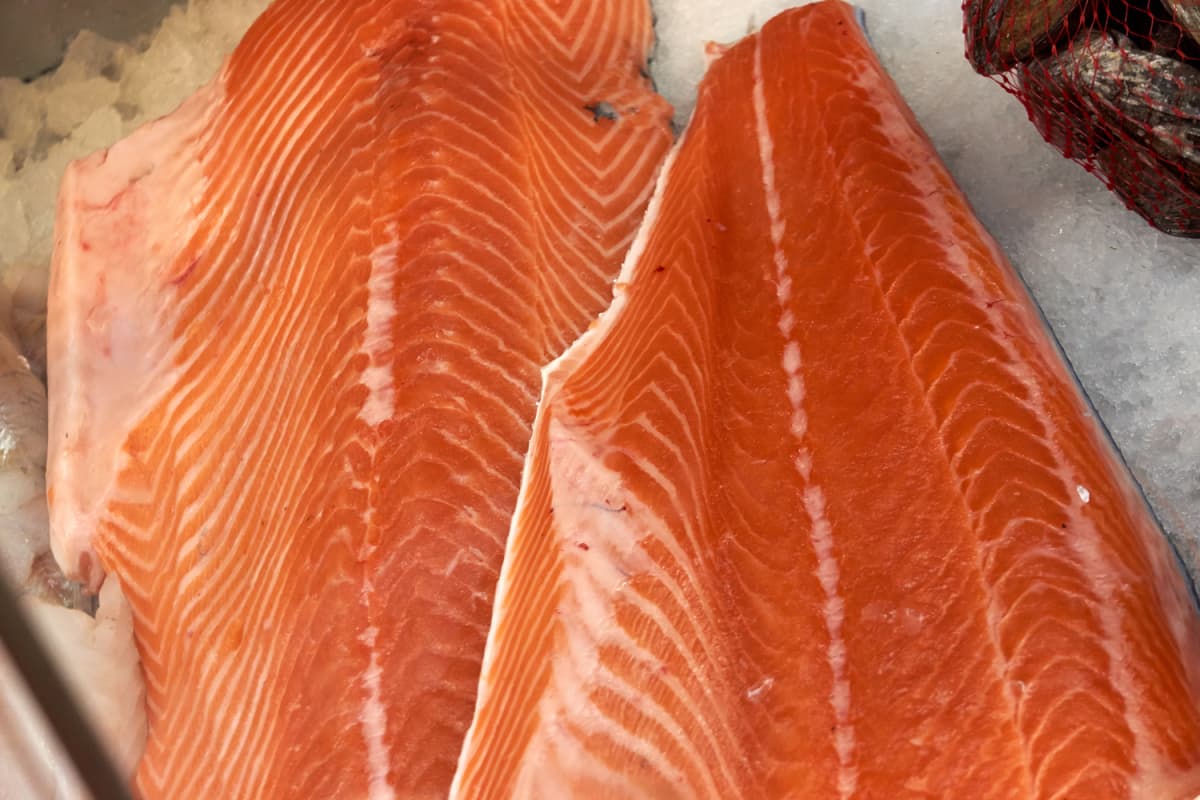 Fresh salmon on sale.