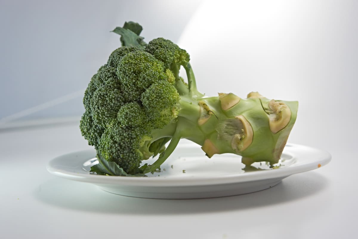 Broccoli on a plate.