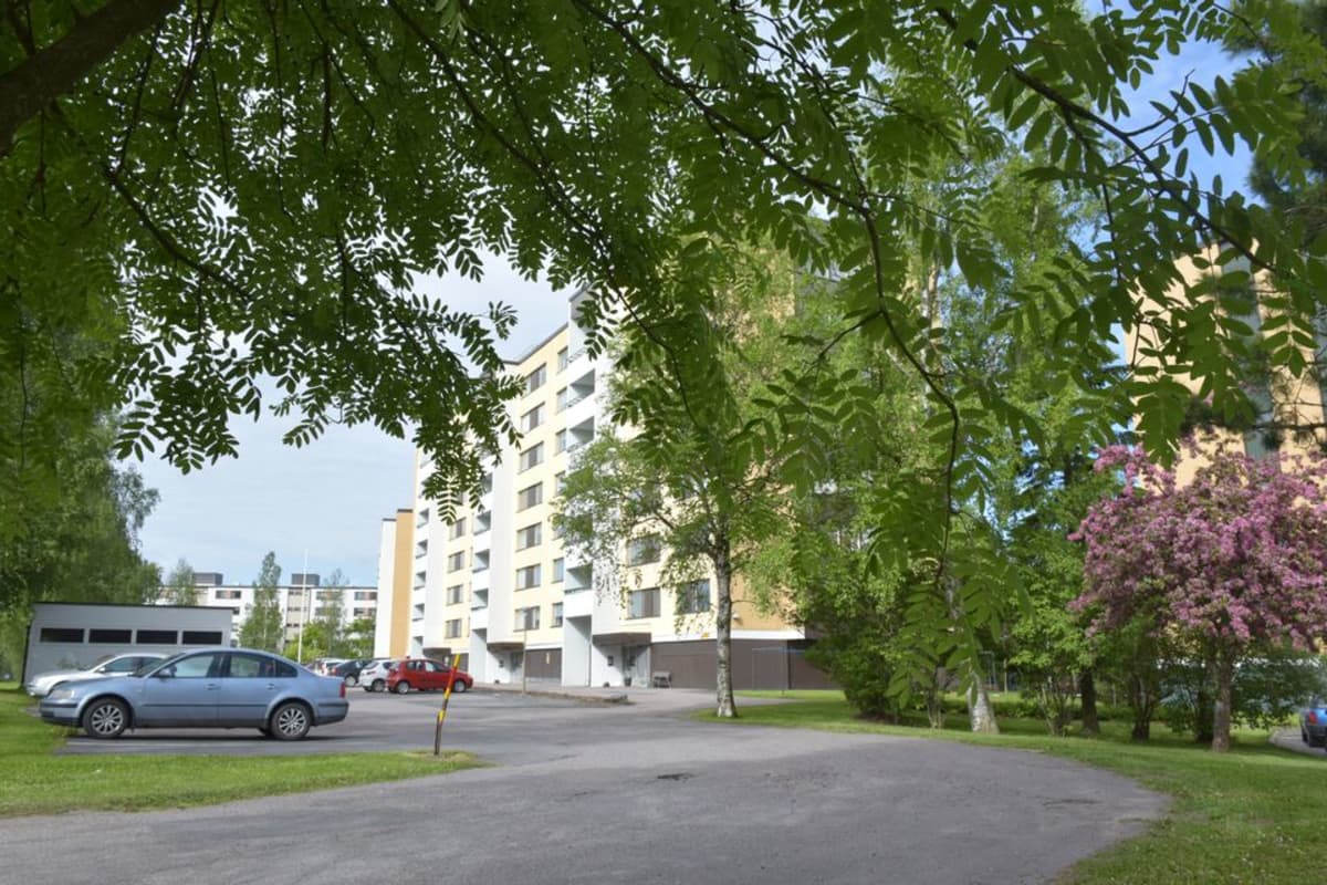 kerrostaloja puiden katveessa