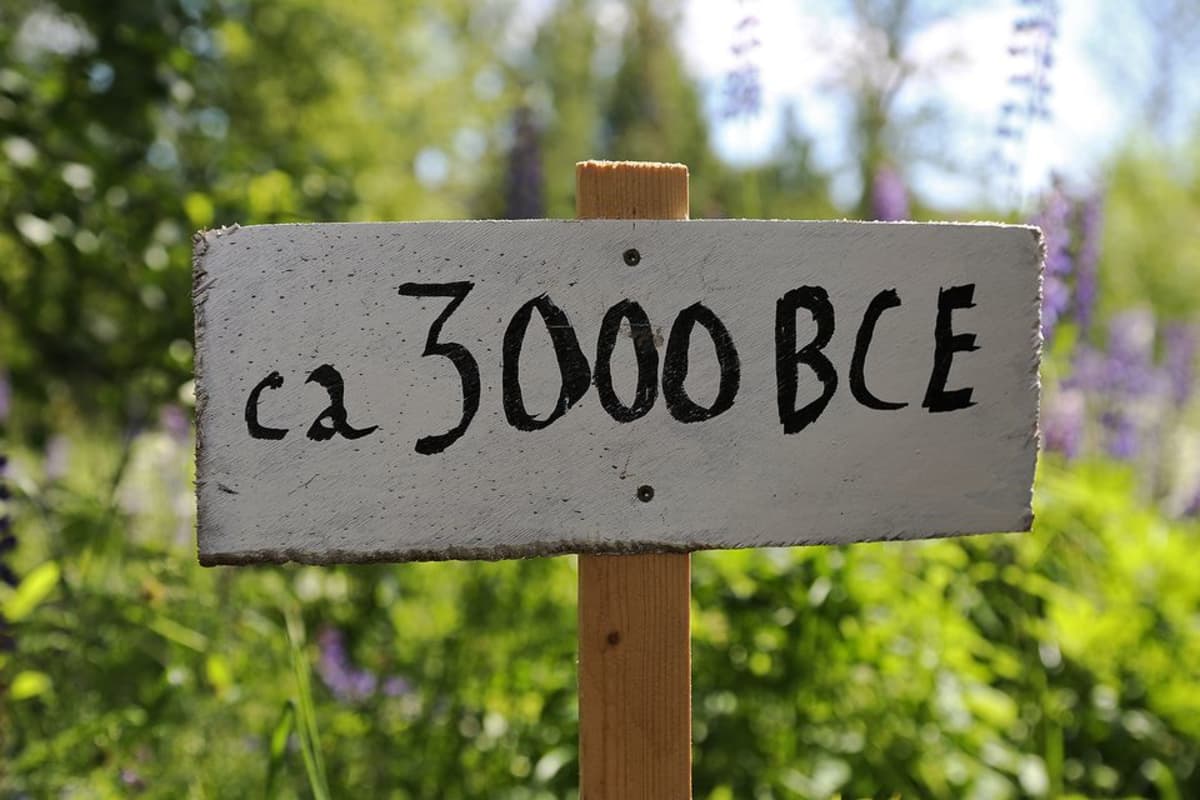 Kyltti, jossa on teksti: "ca 3000 BCE".
