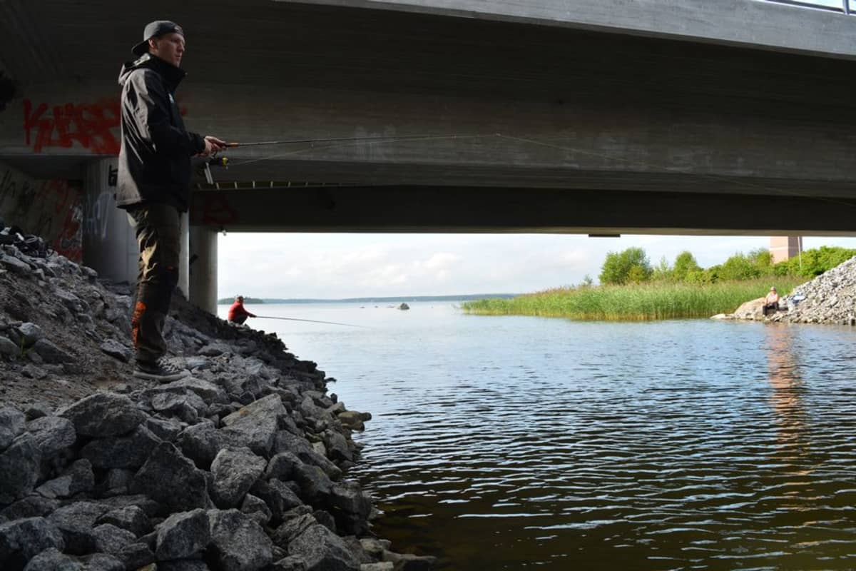 Vaasan kalapaikat ovat tuttuja Jani Haavistolle.